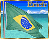 [Efr bandeira brasileira