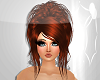 Cassidy *Copper*