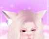 ✰S Pop! Kitty Ears