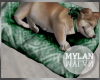 ~M~ | Dog on Bed 6