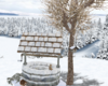 *Winter Water Well