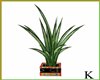(K)Vase Hippie (Plants)