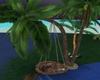 tropical palm w hammock