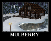 Mulberry 