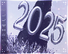 E~ New Year Hat 2025 M