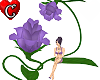 Flower - Rose lilac