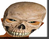 Skeleton Mask REALISTIC!