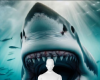 Shark mouth background