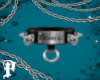 P. Sean's Custom Collar