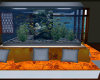 Fish tank couch