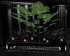 Black Room devider Plant