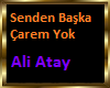 Senden Başka Carem Yok