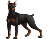 Sticker Doberman