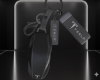 Tesla Key Fob