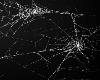 webs