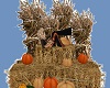 Halloween photo haystack