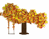Autumn Tree Swing