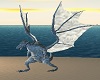 Grey Flying Dragon