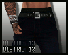 D13l Zander Pants I