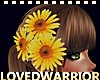 LW_ Daisy Hair Flowers R