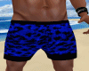 Blue Leopard Pants Beach