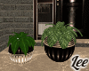 Tcana~Set Of Plants V3