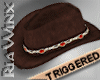 Brown Western Hat