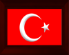 Turkish Flag