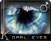 K| Opal Eyes: Blue