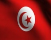 OJ*TunisiaFlag and Pole