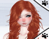 .M. Wendy - Copper