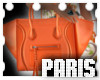 (LA) CLNE Orange Bag