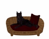 C* Roman Molossian Dog