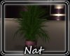 NT Illusions Planter 5