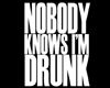 Nobody Knows - Drunk