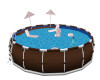 Family Fun Swimming Pool