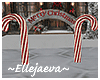 Merry Christmas Arch