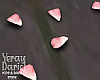 Pink Rose Petal