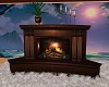 Sunner Home Fireplace