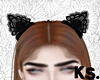 ♕ Lace Cat Ears Black