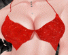 bundle red mini  look