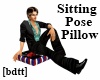 [bdtt]SittingPose Pillow