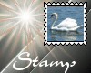 Swan