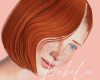 𝐼𝑧.SindyGinger