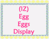 (IZ) Egg Eggs Display