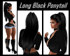 Long Black Ponytail