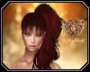[ang]Angelfire Phoenix