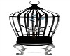 Birds in Cage Animated