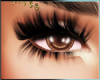 UQ* BEARR EYE