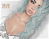 -J- Dottie mint